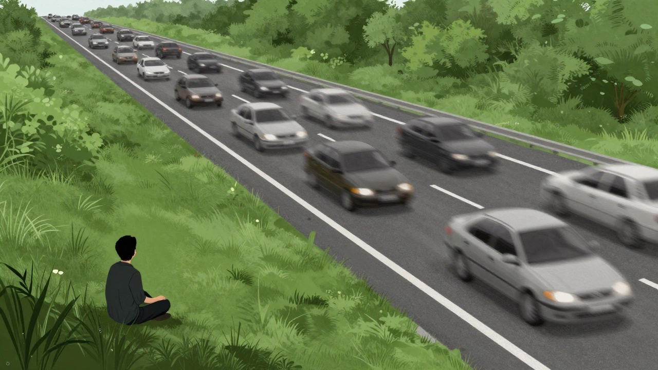 A person sitting peacefully on grass watching a busy highway of blurred cars